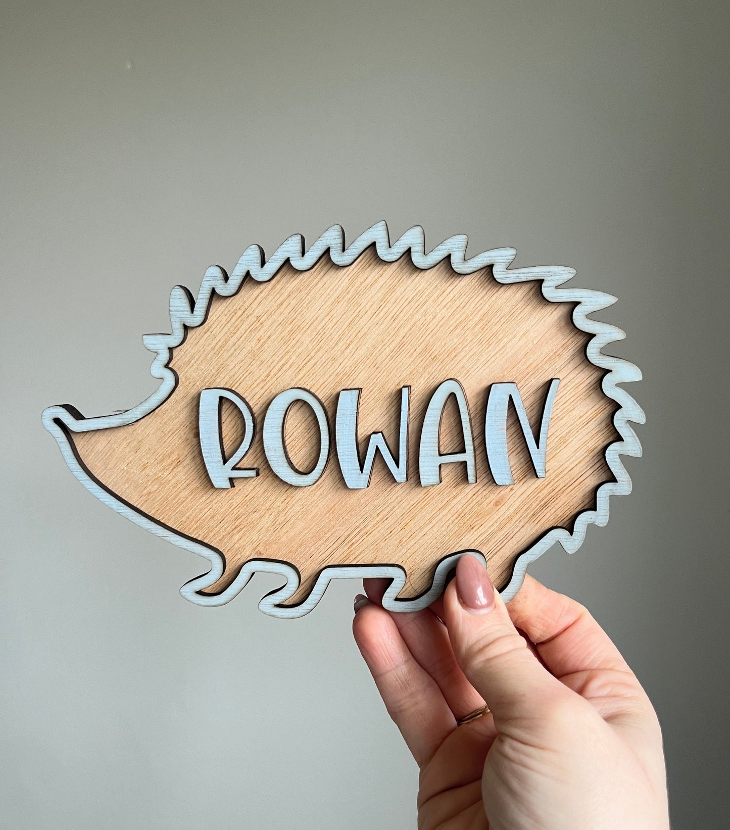 Hedgehog door sign kids woodland Nursery Decor Wooden Woodland Animal Name Sign personalised toddler boys  bedroom gift idea for 3 year old